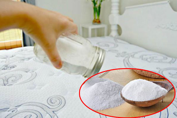 Đang mùa măng cụt, học ngay cách chọn măng ngon, nhiều cùi, mọng nước-8