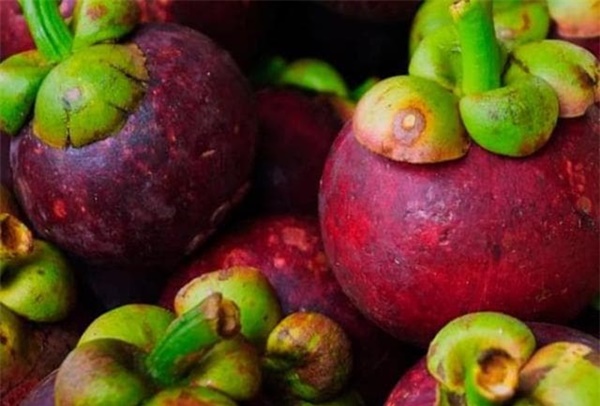 Đang mùa măng cụt, học ngay cách chọn măng ngon, nhiều cùi, mọng nước-1