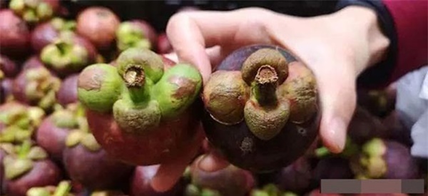 Đang mùa măng cụt, học ngay cách chọn măng ngon, nhiều cùi, mọng nước-2