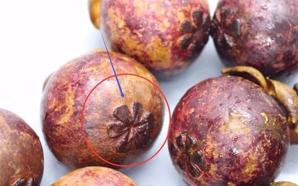 Đang mùa măng cụt, học ngay cách chọn măng ngon, nhiều cùi, mọng nước-5