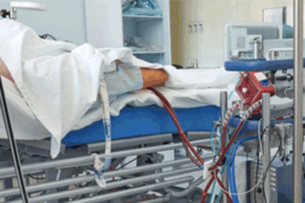 Lý do phi công Anh không thể ghép phổi từ người cho sống-2