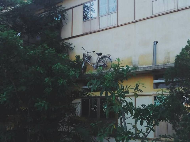 Tan học thì chẳng thấy xe đạp đâu, nam sinh đỏ mắt đi tìm nào ngờ ở nơi xa tít chân trời gần ngay trước mặt-5