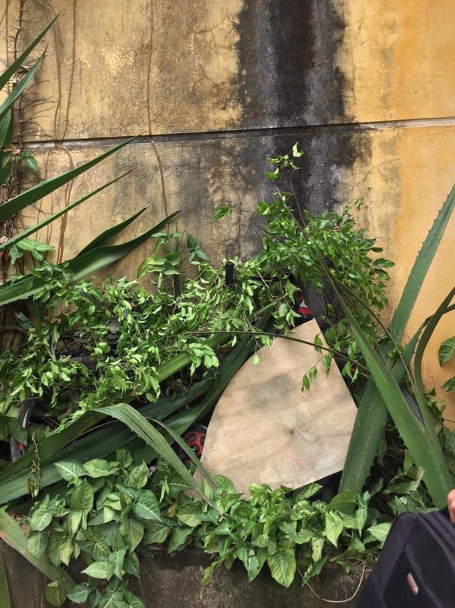 Tan học thì chẳng thấy xe đạp đâu, nam sinh đỏ mắt đi tìm nào ngờ ở nơi xa tít chân trời gần ngay trước mặt-7