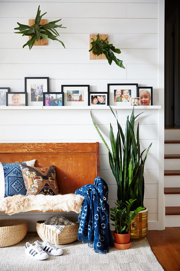 Top 8 loại cây cảnh được hội chị em nghiện nhà săn lùng vì vừa đẹp, rẻ lại tốt cho sức khỏe-2