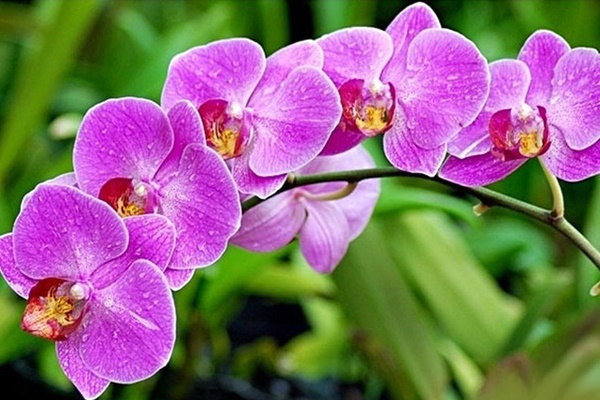 9 mẫu thiết kế phòng khách kết hợp bếp siêu độc đáo, hack không gian cực đỉnh cho căn hộ nhỏ-10