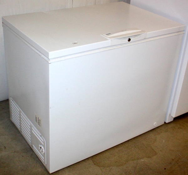 Người phụ nữ bị bỏng do cháy nhà khiến dân Mỹ thương xót trước khi chiếc tủ lạnh chứa xác người tố cáo tội ác và danh tính thật của ả-5