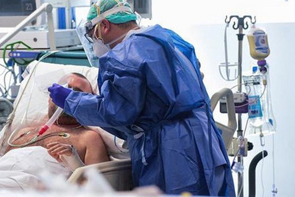 Hà Lan: Phát hiện nhân viên trang trại lây COVID-19 từ chồn-2