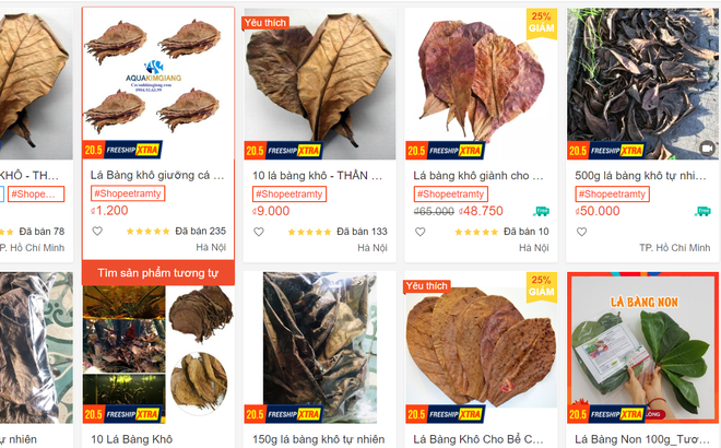 Chuyện thật như đùa, lá bàng khô được rao bán rầm rộ, giá 1.000 đồng/lá-1