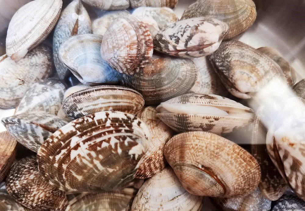 Ngoài muối, thêm vài giọt nguyên liệu này ngâm, ngao đảm bảo nhả sạch cát không còn một hạt-1