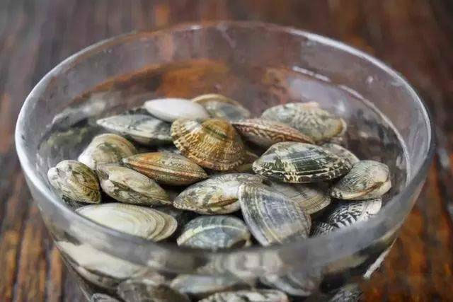 Ngoài muối, thêm vài giọt nguyên liệu này ngâm, ngao đảm bảo nhả sạch cát không còn một hạt-3