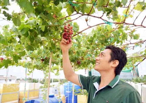 Khu vườn cổ tích với hơn 30 loại cây độc lạ của đôi vợ chồng trẻ-3