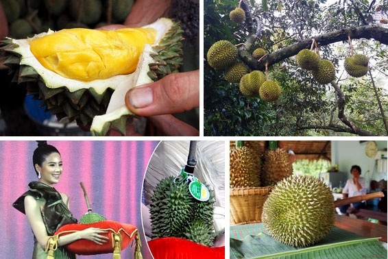 Ai cũng sốc” khi nghe qua mức giá của 8 loại trái cây đắt nhất hành tinh này, bỏ ra hàng trăm triệu mới mua được là chuyện bình thường-4