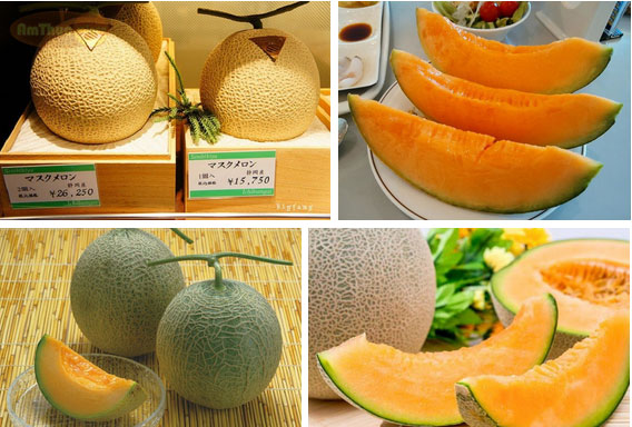 Ai cũng sốc” khi nghe qua mức giá của 8 loại trái cây đắt nhất hành tinh này, bỏ ra hàng trăm triệu mới mua được là chuyện bình thường-7