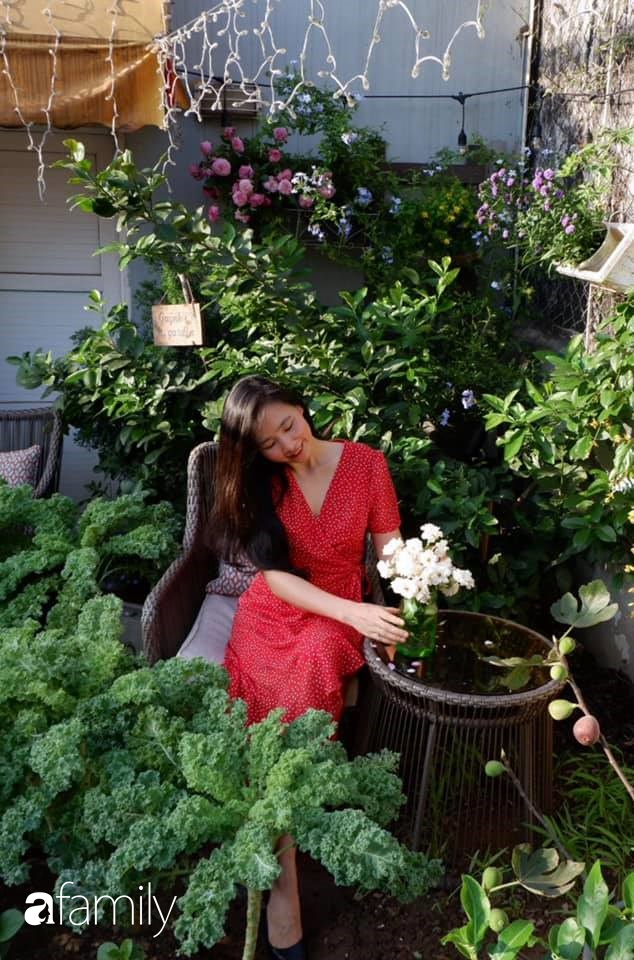 Bà mẹ trẻ ở Hà Nội chia sẻ kinh nghiệm trồng vườn treo Babylon ngay giữa lòng thành phố đã 10 năm vẫn xanh tốt-2