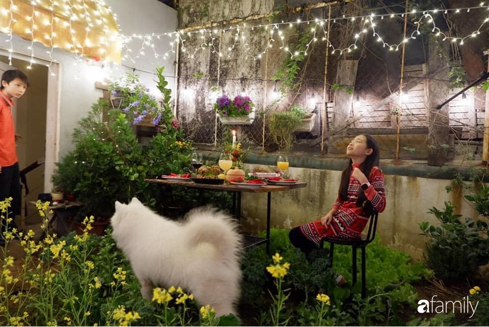 Bà mẹ trẻ ở Hà Nội chia sẻ kinh nghiệm trồng vườn treo Babylon ngay giữa lòng thành phố đã 10 năm vẫn xanh tốt-11