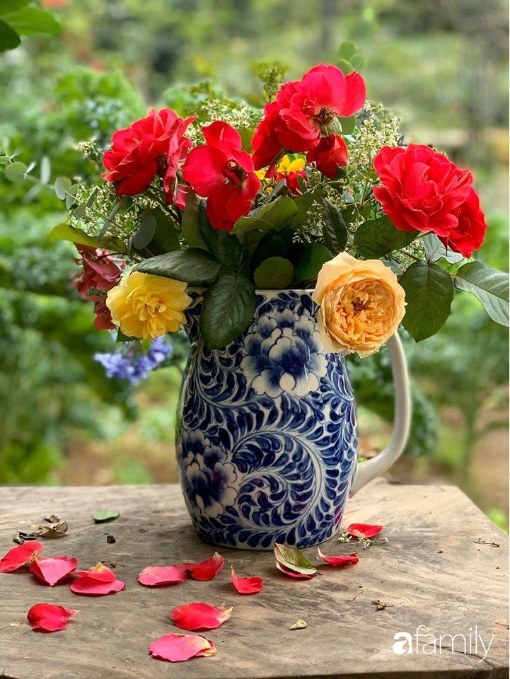 Bà mẹ trẻ ở Hà Nội chia sẻ kinh nghiệm trồng vườn treo Babylon ngay giữa lòng thành phố đã 10 năm vẫn xanh tốt-16