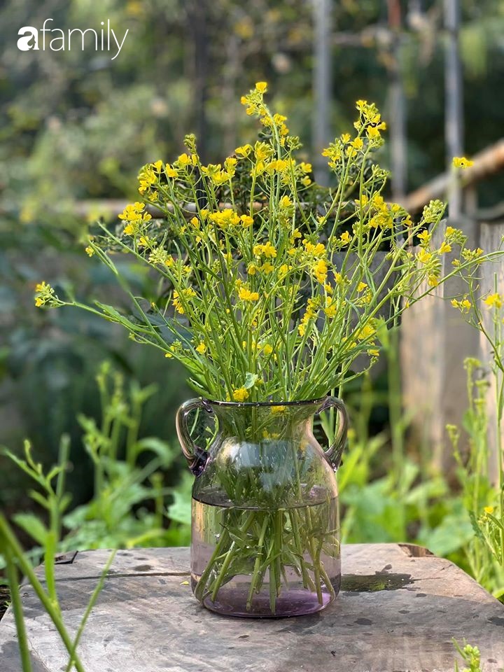 Bà mẹ trẻ ở Hà Nội chia sẻ kinh nghiệm trồng vườn treo Babylon ngay giữa lòng thành phố đã 10 năm vẫn xanh tốt-18