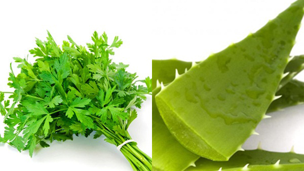 Mẹo hiệu quả làm các vết bầm tím trên da tan nhanh-5