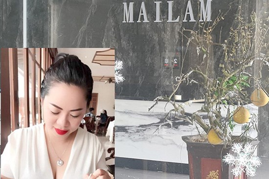 Truy tìm nữ giám đốc công ty xuất nhập khẩu gỗ chiếm đoạt hàng trăm tỷ ở Hải Phòng
