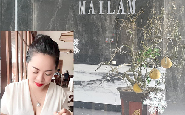 Truy tìm nữ giám đốc công ty xuất nhập khẩu gỗ chiếm đoạt hàng trăm tỷ ở Hải Phòng-1