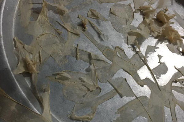 Xôn xao thông tin cháu bé 1 tuổi bị mắc kẹt trên ô tô vì người lớn quên rút chìa khóa khi xuống xe-4