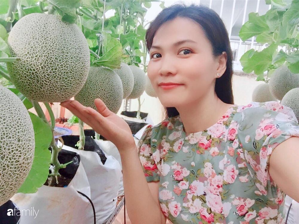 Gặp siêu nhân trồng dưa trên sân thượng, với kinh nghiệm trồng cây nào trĩu quả cây đó đáng ngưỡng mộ ở Sài Gòn-1