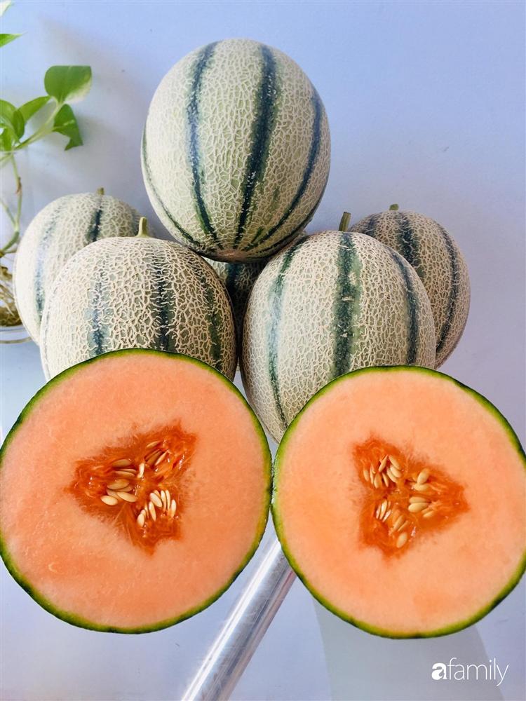 Gặp siêu nhân trồng dưa trên sân thượng, với kinh nghiệm trồng cây nào trĩu quả cây đó đáng ngưỡng mộ ở Sài Gòn-13