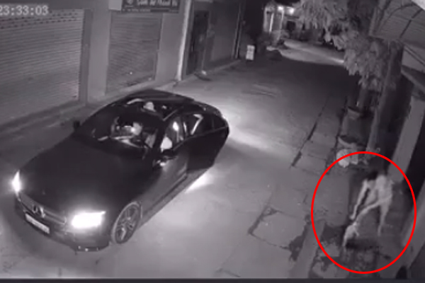 Hổ hết hồn vì bị mèo doạ đánh-1