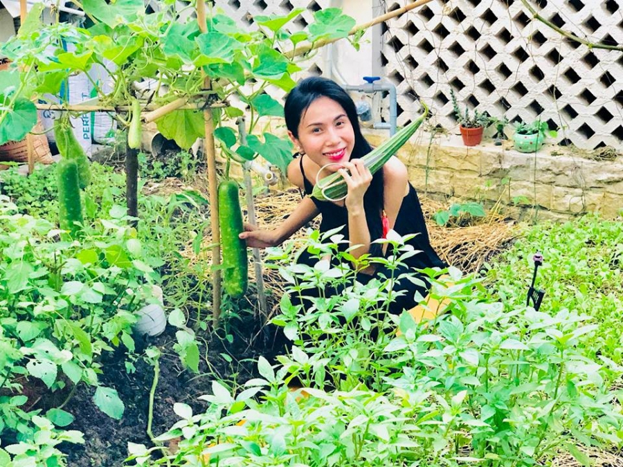 Ngắm biệt thự nhà vườn của Thủy Tiên - Công Vinh ai cũng ngạc nhiên vì điều này-3