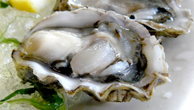Cách chọn mua ngao, sò, ốc, hến tươi ngon cực phẩm không để người bán hàng qua mặt-2