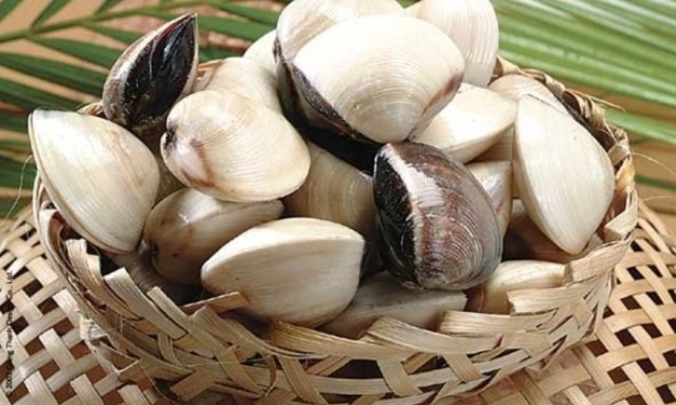 Cách chọn mua ngao, sò, ốc, hến tươi ngon cực phẩm không để người bán hàng qua mặt-1
