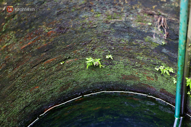 Lạ kỳ giếng cổ quanh năm nước trong xanh, mát lạnh giữa lòng Hà Nội: Những cụ cao tuổi nhất cũng không biết giếng có từ bao giờ”-4