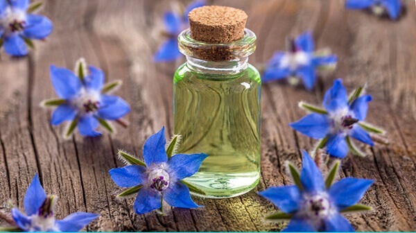 6 chất tự nhiên được mệnh danh là khắc tinh” của bệnh nha chu-2