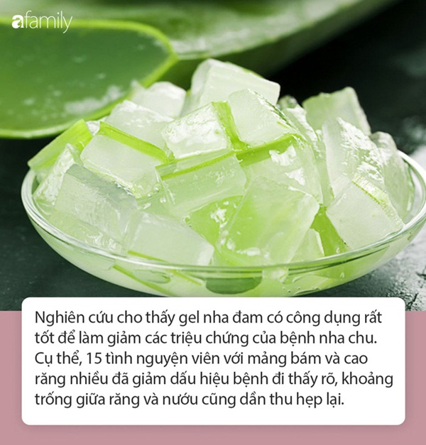 6 chất tự nhiên được mệnh danh là khắc tinh” của bệnh nha chu-3