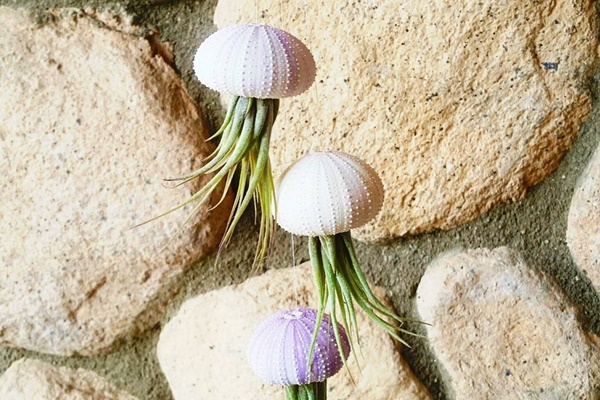 Tuyệt chiêu trang trí phòng vừa sang chảnh vừa đẹp xinh yêu như phim Hàn-6