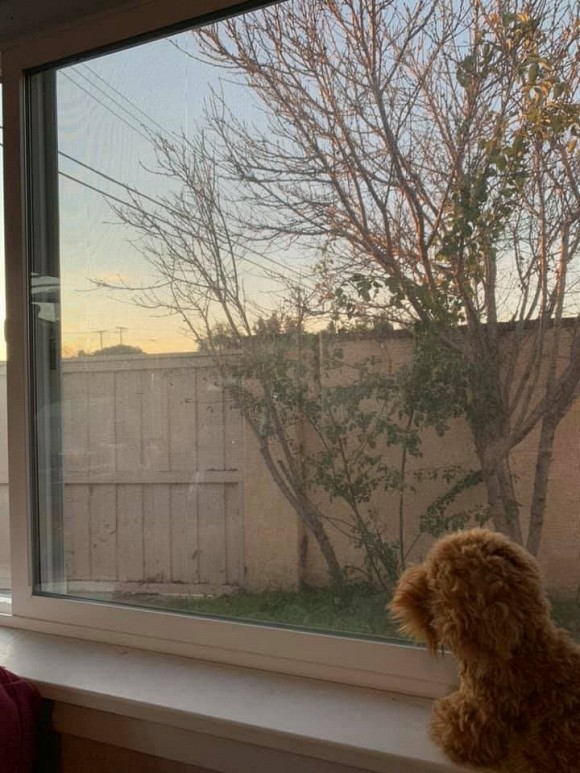 Hé lộ không gian sống của Ngọc Anh 3A tại Mỹ-12