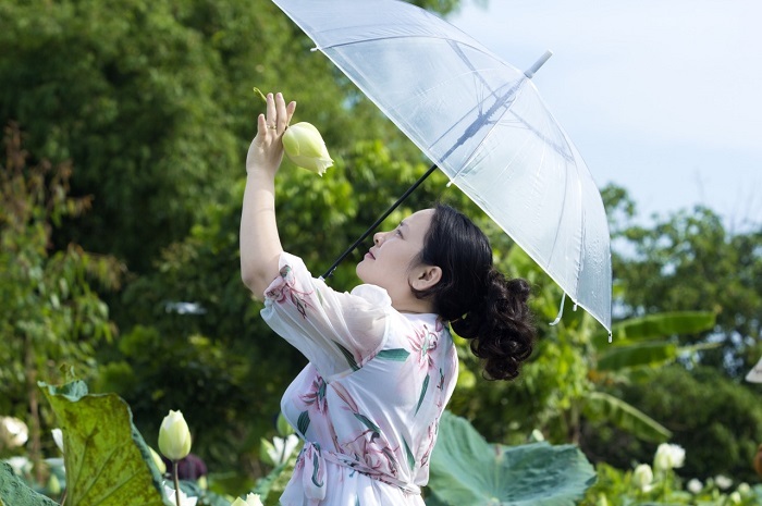 Trồng sen trắng để bán, khách ùn ùn đến chụp ảnh, chủ đầm hốt bạc-4