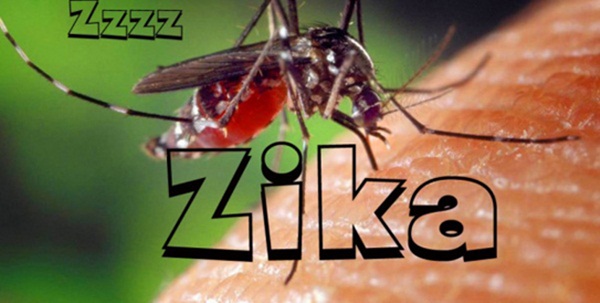 Phát hiện 1 nam thanh niên ở Đà Nẵng mắc virus Zika: Bệnh Zika nguy hiểm ra sao và lây qua những con đường nào?-1