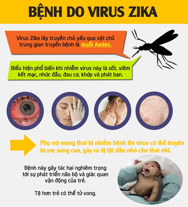 Phát hiện 1 nam thanh niên ở Đà Nẵng mắc virus Zika: Bệnh Zika nguy hiểm ra sao và lây qua những con đường nào?-4
