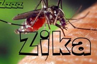 Phát hiện 1 nam thanh niên ở Đà Nẵng mắc virus Zika: Bệnh Zika nguy hiểm ra sao và lây qua những con đường nào?