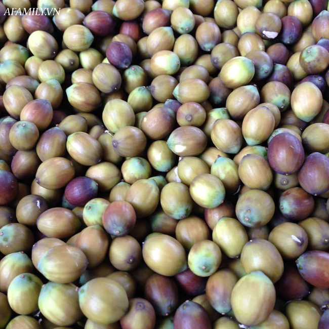 Hạt sen quê đầu mùa vừa thơm vừa bở giá chỉ 150 ngàn đồng/kg, bà nội trợ đặt mua nấu chè-2