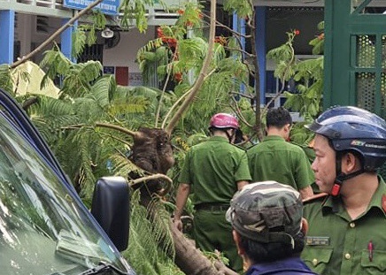 Thi thể học sinh tử nạn do phượng đổ ở TP.HCM được đưa về nhà-1