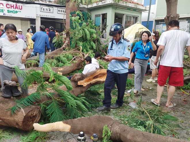 Thi thể học sinh tử nạn do phượng đổ ở TP.HCM được đưa về nhà-3