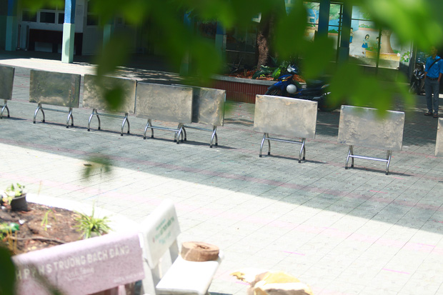 Cận cảnh gốc phượng vĩ mục ruỗng đổ gãy đè 13 học sinh thương vong ở Sài Gòn-10