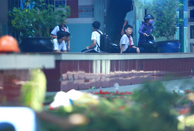 Cận cảnh gốc phượng vĩ mục ruỗng đổ gãy đè 13 học sinh thương vong ở Sài Gòn-13