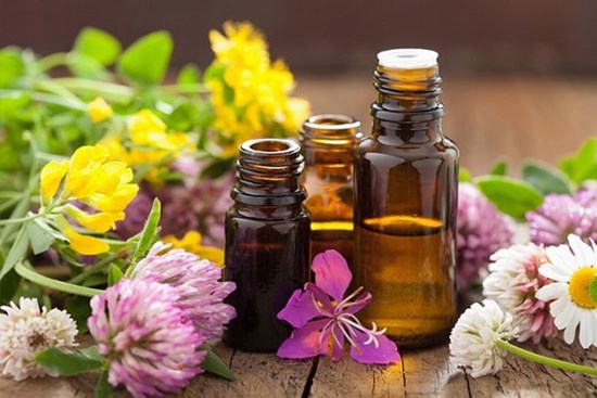 Bảo vệ gia đình khỏi sốt xuất huyết bằng 6 cách đuổi muỗi cực đơn giản