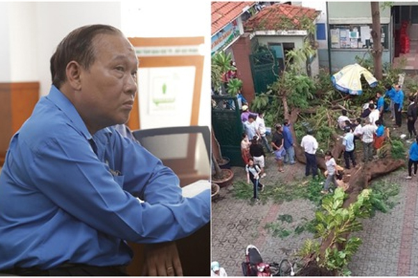 Họp báo vụ cây đổ tại TP.HCM: 18 học sinh thương vong, thầy Hiệu trưởng nhận trách nhiệm chính về vụ việc-7
