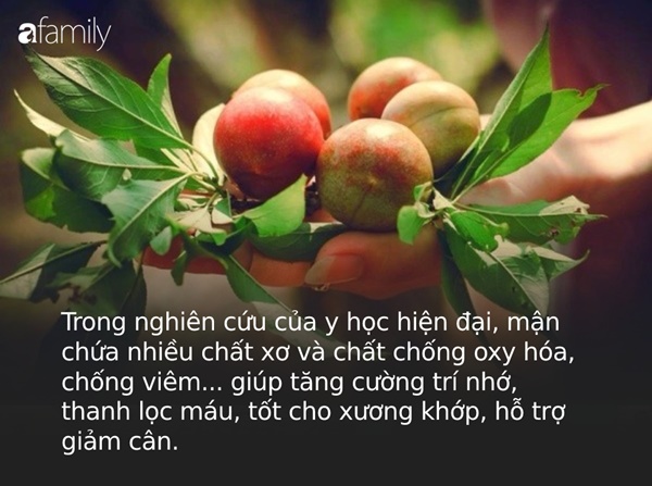 Mận là loại trái cây cực tốt nhưng có những người tốt nhất không nên ăn, đặc biệt là 5 đối tượng này-1