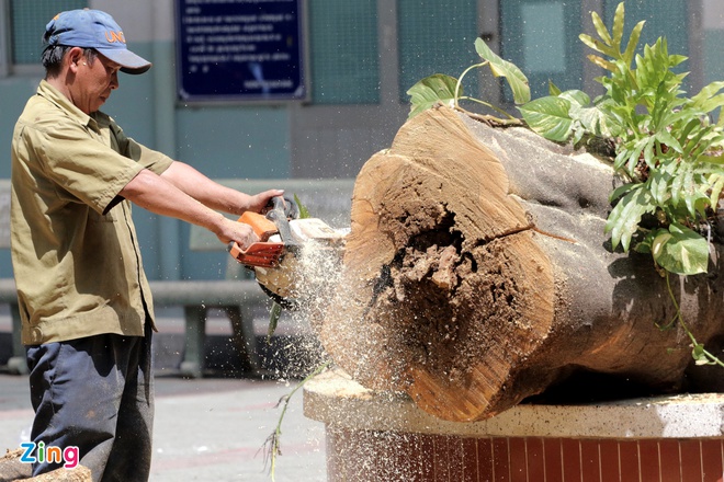 Mẹ ơi, bạn con mất rồi-2