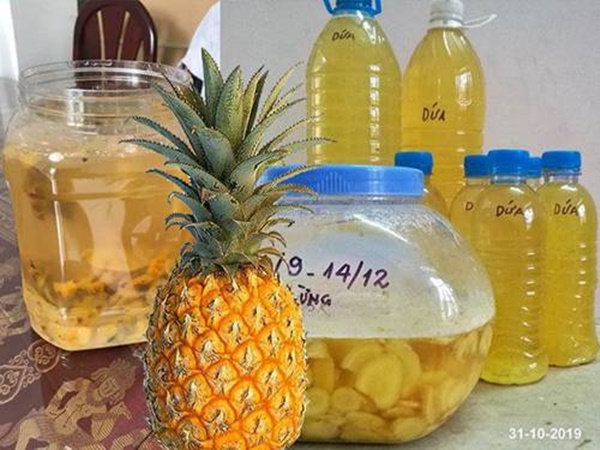 Cô gái Hà Tĩnh tiết lộ cách làm nước thần từ vỏ dứa, tưới tới đâu cây tốt tới đó-1